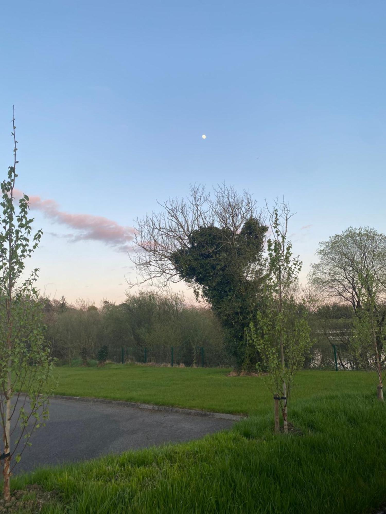 Killyfole Lakeside Lodges Corranny Exteriér fotografie