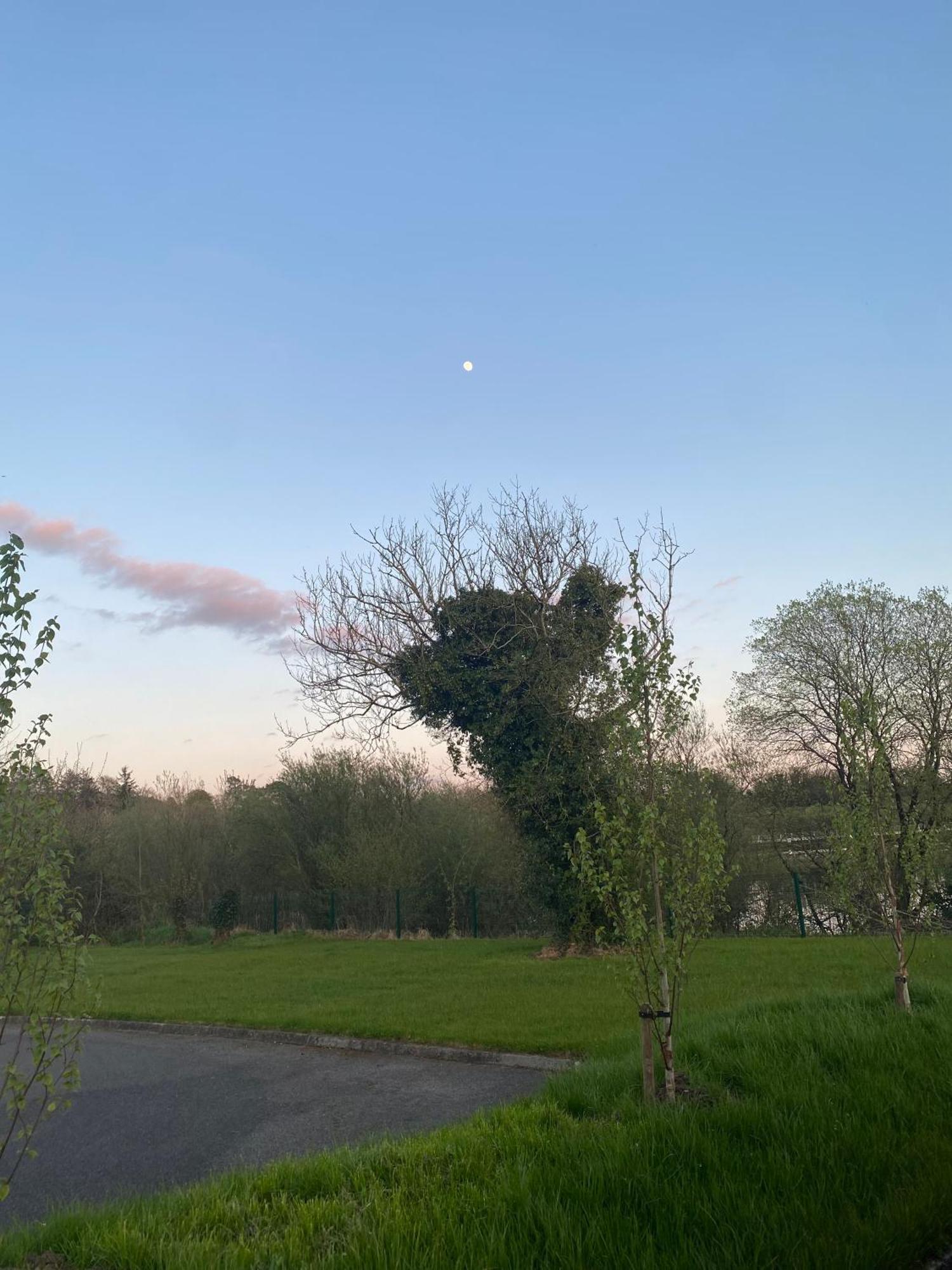 Killyfole Lakeside Lodges Corranny Exteriér fotografie